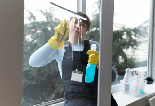Nettoyage de vitres intérieures et extérieures à Sougy